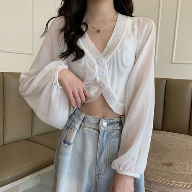 Sisyphi-Long-Sleeve V-Neck Sheer Button-Up Blouse