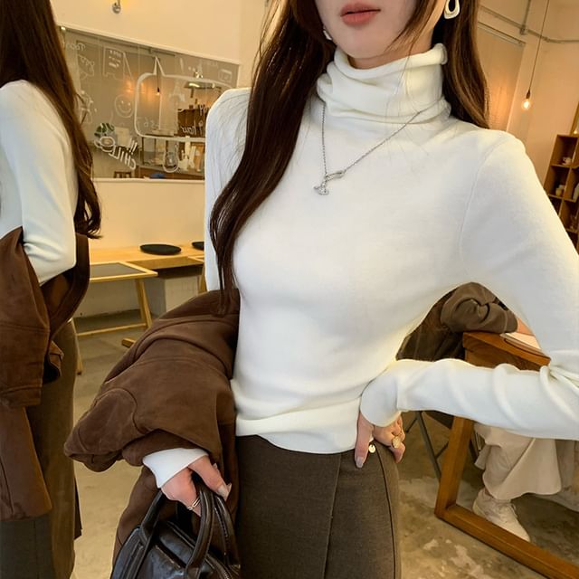 Asiris-Long-Sleeve Turtleneck Plain Slim Fit Knit Top