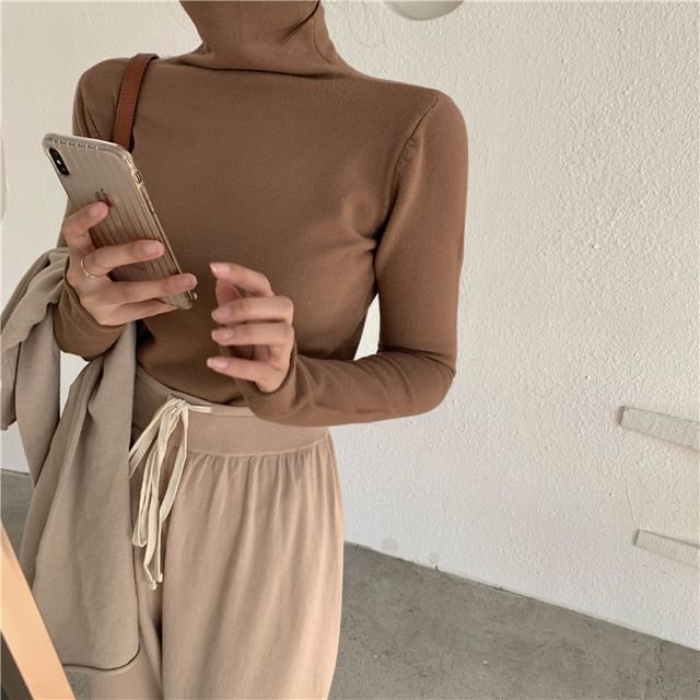 Shinsei-Turtleneck Plain Crop Knit Top