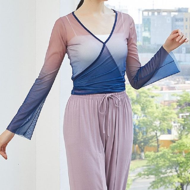 Cossita-Long-Sleeve V-Neck Ombre Mesh Top