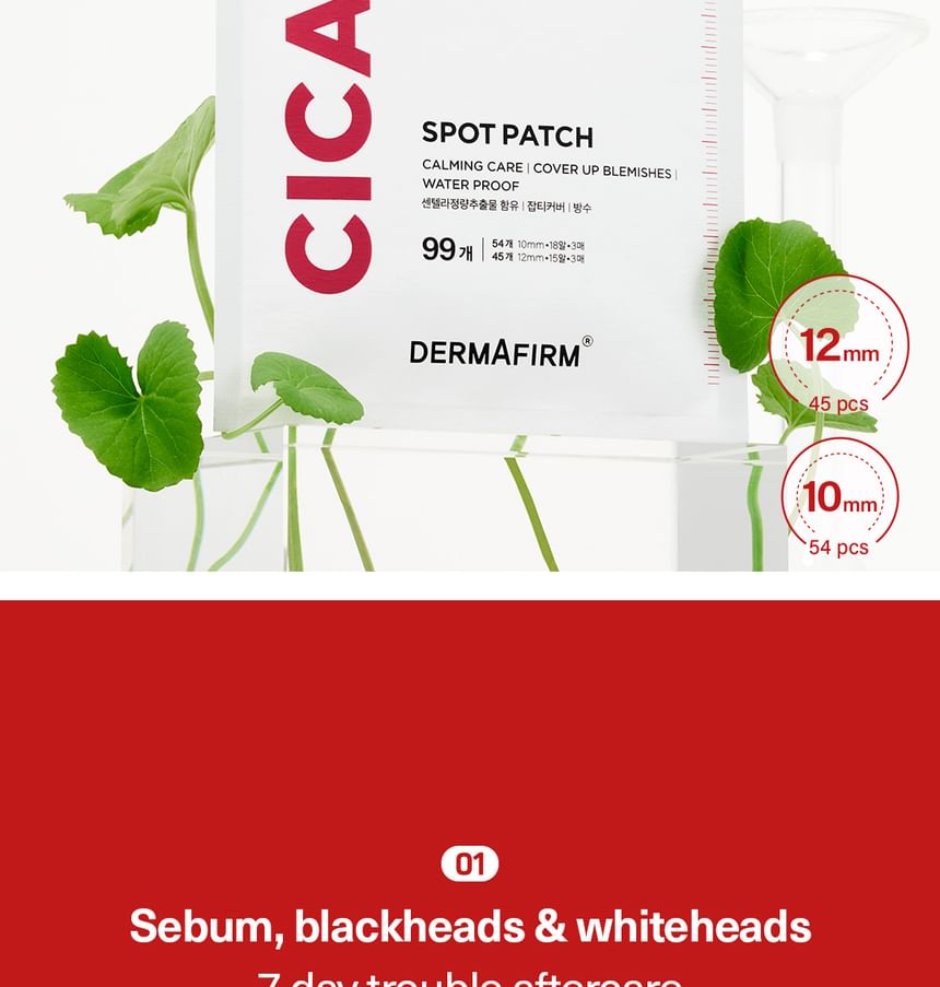 CICAA.C Spot Patch