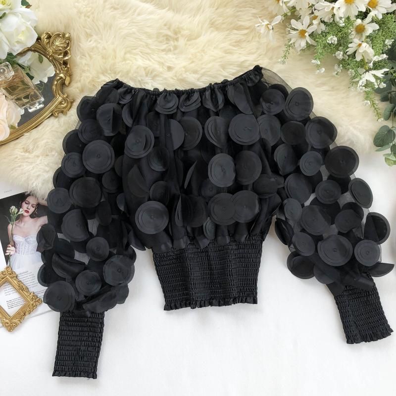 ���� ���� ������ �� ���� ������