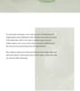 Green Plum Refreshing Toner: AHA + BHA