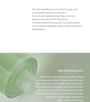 Green Plum Refreshing Toner: AHA + BHA