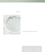 Green Plum Refreshing Toner: AHA + BHA