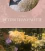 Better Than Palette The Secret Garden - 9 Types