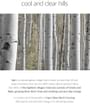 Birch Juice Moisturizing Sunscreen