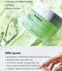 Sea Kelp Gel Toner Pads