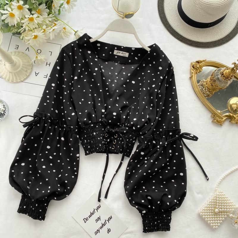 ���� ���� ������ �� ���� ������