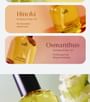Perfumed Hair Oil - 3 Types