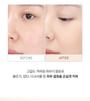 Long Lasting Tip Concealer Cover-Fit - 7 Colors
