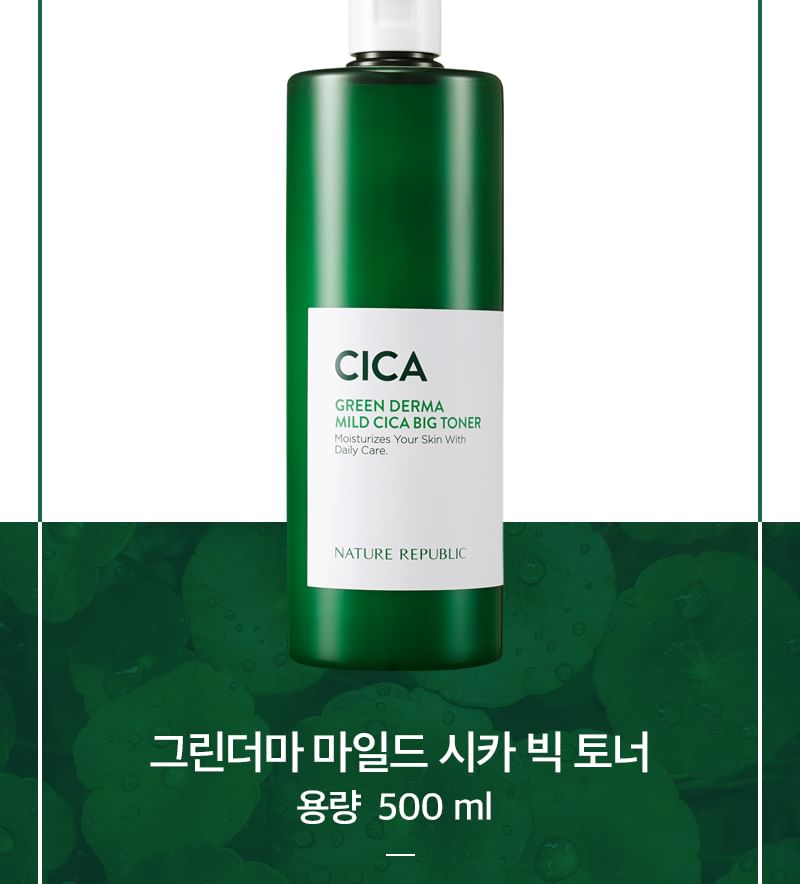 Buy NATURE REPUBLIC - Green Derma Mild Cica Big Toner (x6) (Bulk