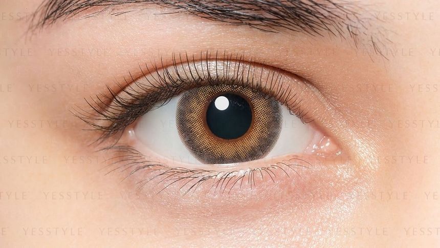 Pia Lilmoon 1 Day Color Lens 3 Tone Cream Grege 10 Pcs Yesstyle