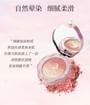 Oil Painting Gradient Blusher - 7 Types