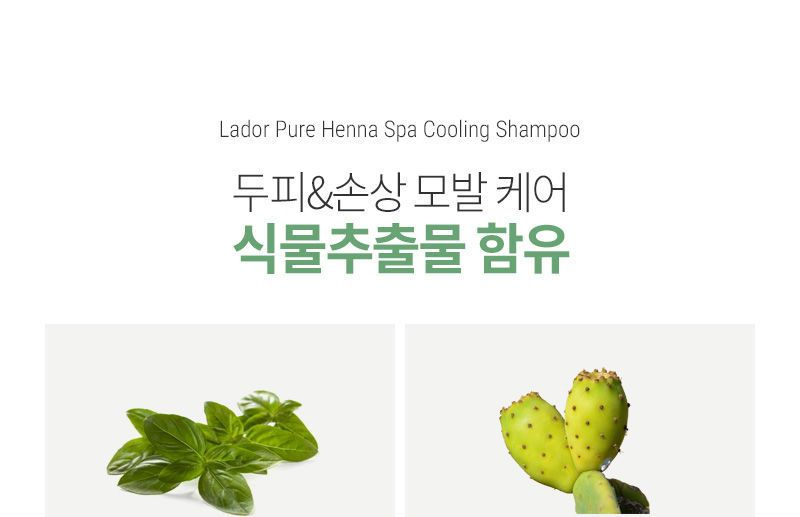 Lador Pure Henna Spa Cooling Shampoo | YesStyle