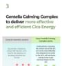 No.2 Cica Ceramide Repair Cream