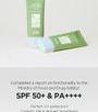 Cactus Sunscreen
