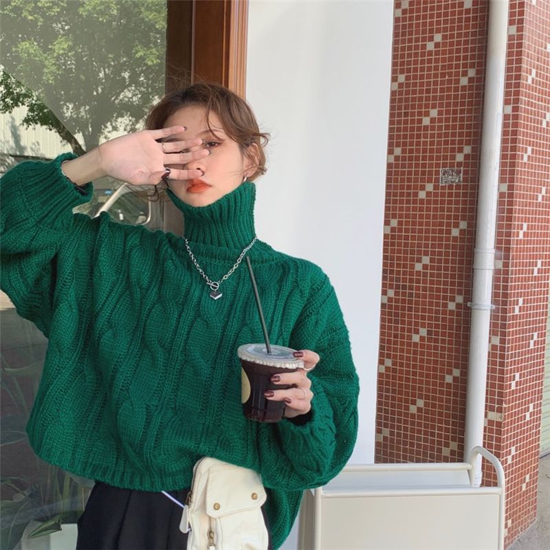 Ashlee - Chunky Knit Turtleneck Sweater 