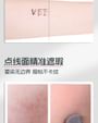 Invisible Concealer Brush