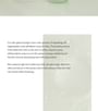 Green Plum Refreshing Toner: AHA + BHA
