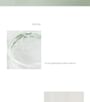 Green Plum Refreshing Toner: AHA + BHA