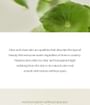 Light On Serum Centella + Vita C Mini