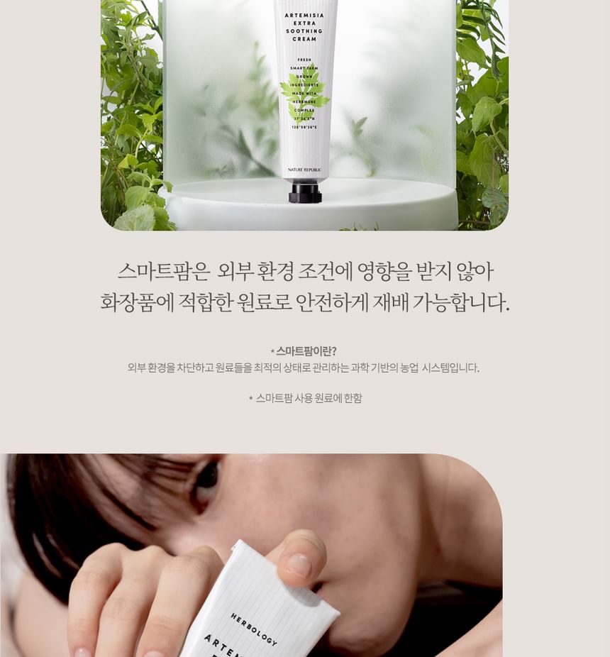 Buy NATURE REPUBLIC - Herbology Artemisia Extra Soothing Cream (x6) (Bulk  Box) in Bulk | AsianBeautyWholesale.com