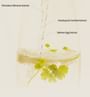 Salmon Fruity Centella Body Wash