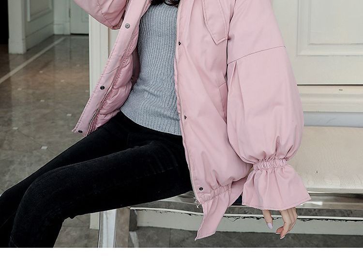 houyhnhnms - 连帽派克大衣