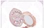 Violet Strawberry Rococo Embossed Blush - G02