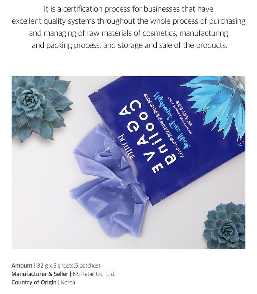 zimmer agave Shop 'Agave tequilana Sunrise' - Care and Growing Guide
