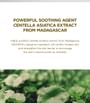 Madagascar Centella Cream