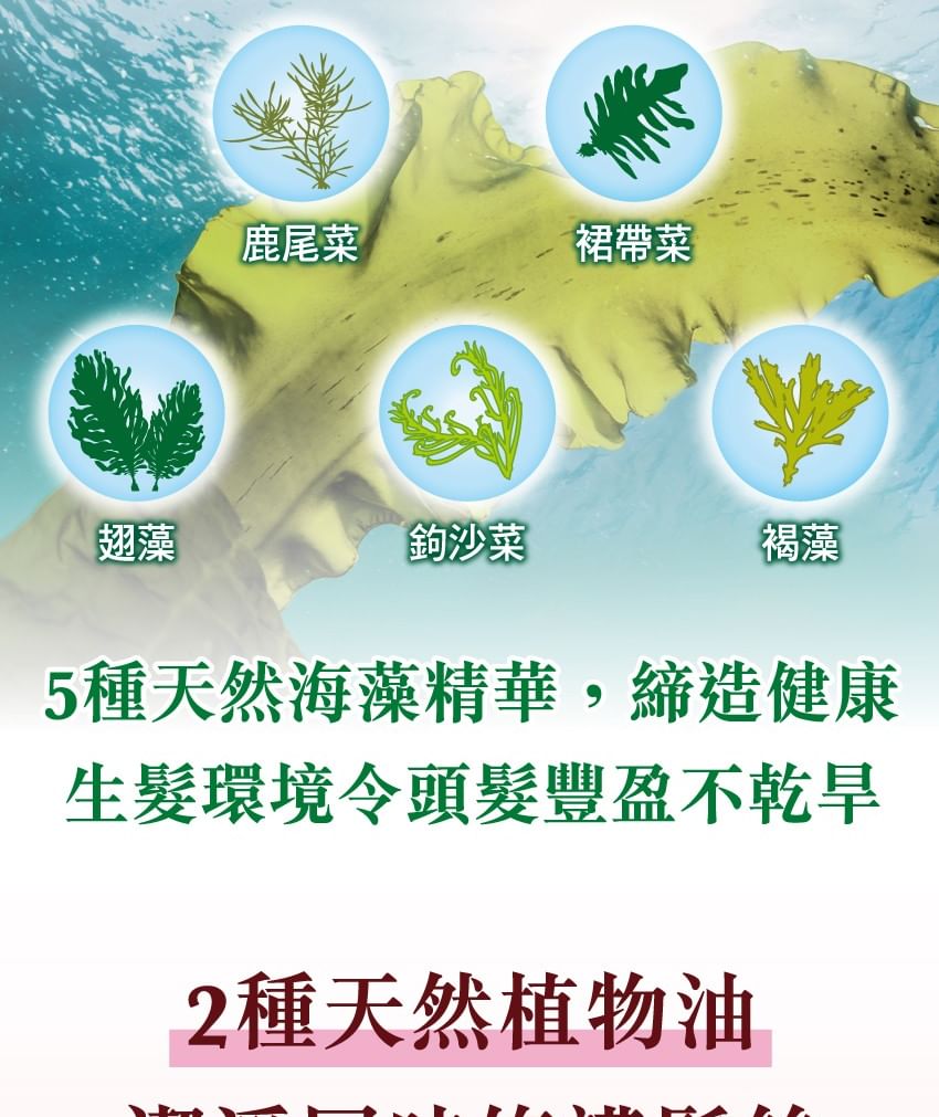 Buy Rohto Mentholatum - 50 Megumi Coloring Shampoo in Bulk ...