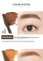 Color My Brows - 5 Colors