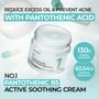 No.1 Pantothenic B5 Active Soothing Cream