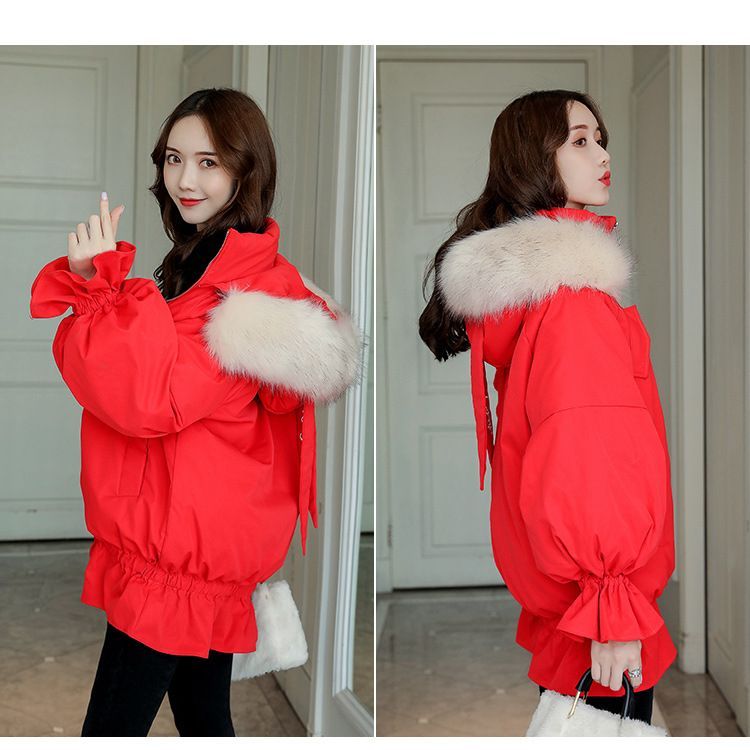 houyhnhnms - 连帽派克大衣