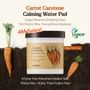 Carrot Carotene Calming Water Pad