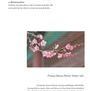 Apricot Blossom Peeling Gel