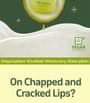 Avocado Cica Relief Lip Balm