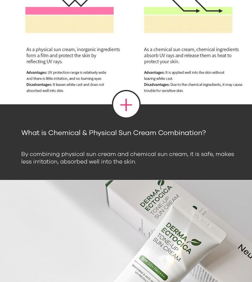 Buy Neulii - Derma Ectocica Tone-Up Sun Cream in Bulk |  AsianBeautyWholesale.com