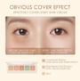 Color Correcting Concealer Palette