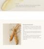 Revive Eye Serum