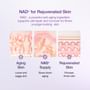 No.9 NAD Bio Lifting-sil Essence