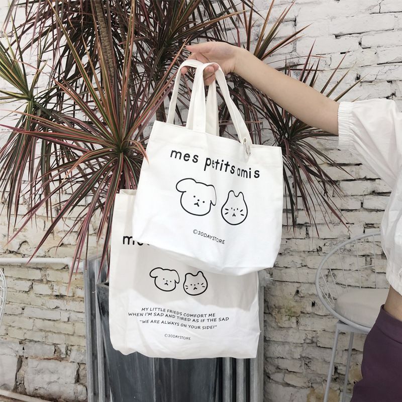 tote bag lunch bag