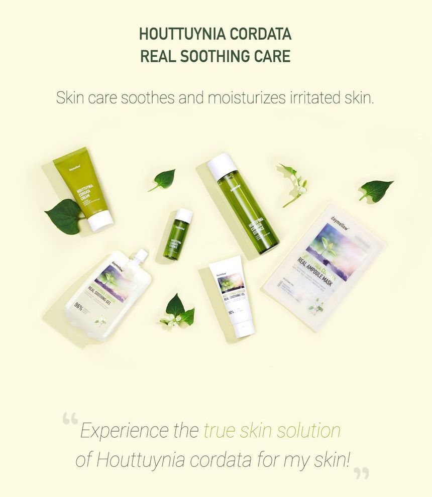 Buy daymellow - Houttuynia Cordata Real Soothing Cream in Bulk ...