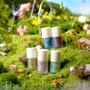 The Garden Secret Nail Polish