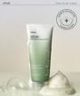 Heartleaf Quercetinol Pore Deep Cleansing Foam