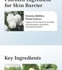 147 Barrier Cream