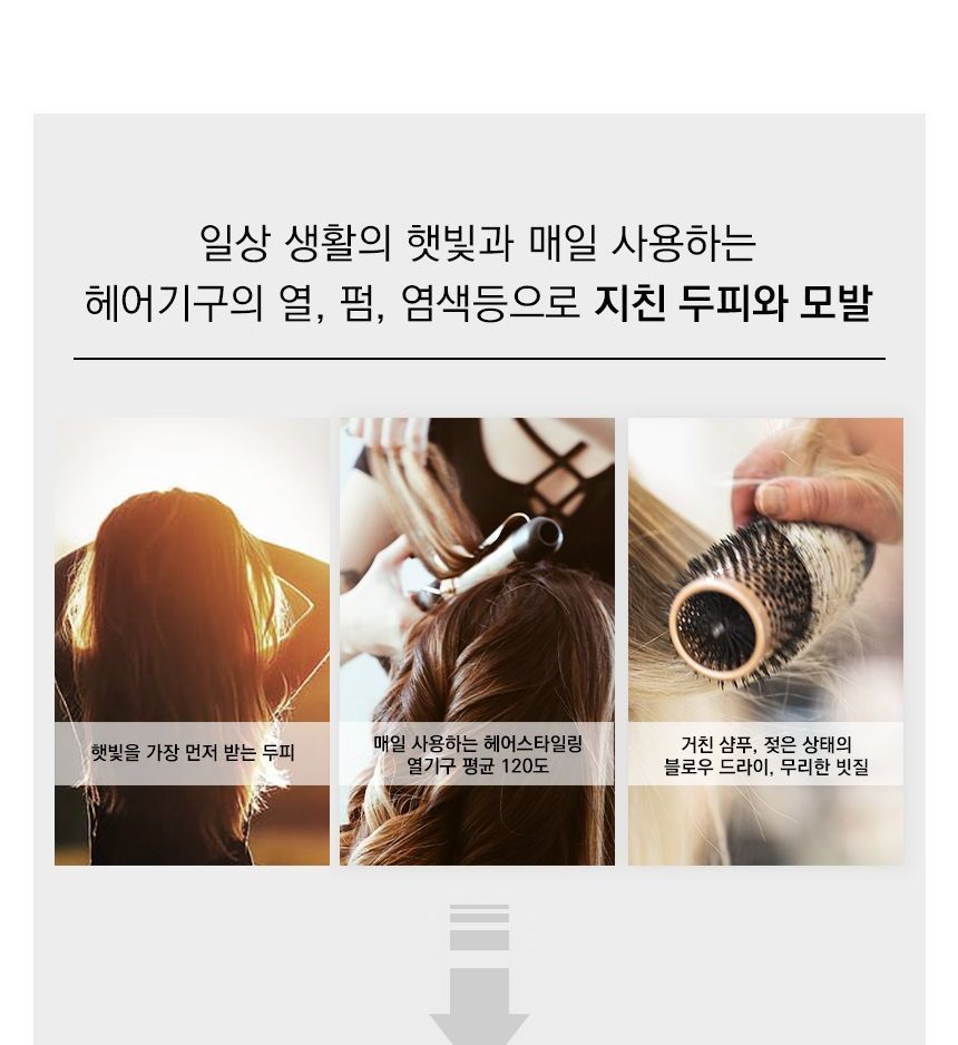 Buy NINELESS Daily Intense Nourishing Shampoo in Bulk