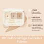 Three-Shades Concealer Palette - 2 Colors